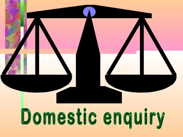 Domestic.Enquiry.Services